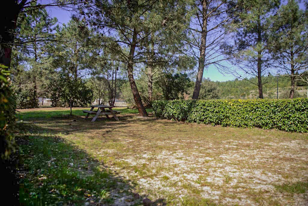 camping lacanaux spacious pitchesjpg