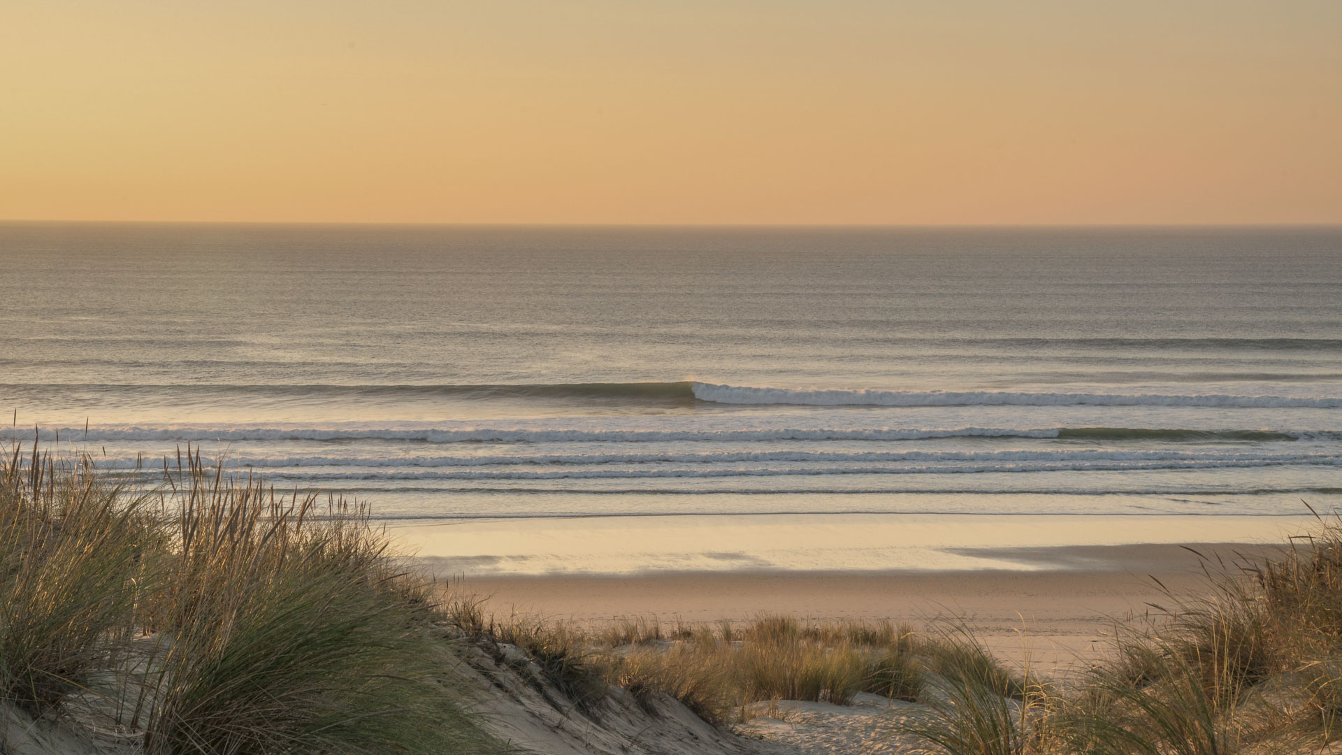 camping in lacanau gironde