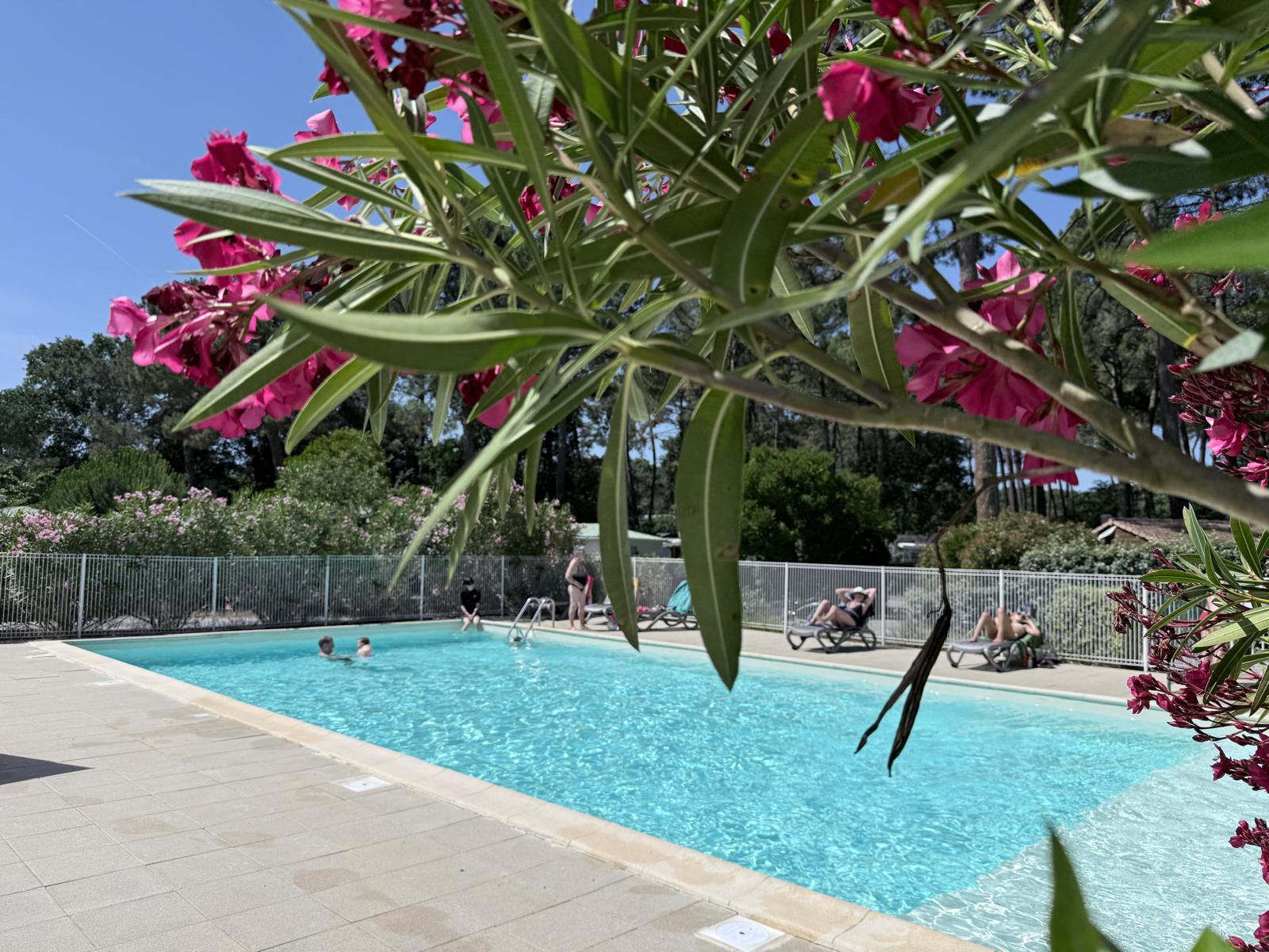Piscine LJDL